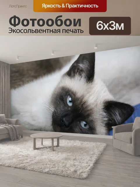 600 × 300 см · Экосольвентная печать