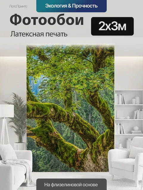 200 × 300 см · Латексная печать