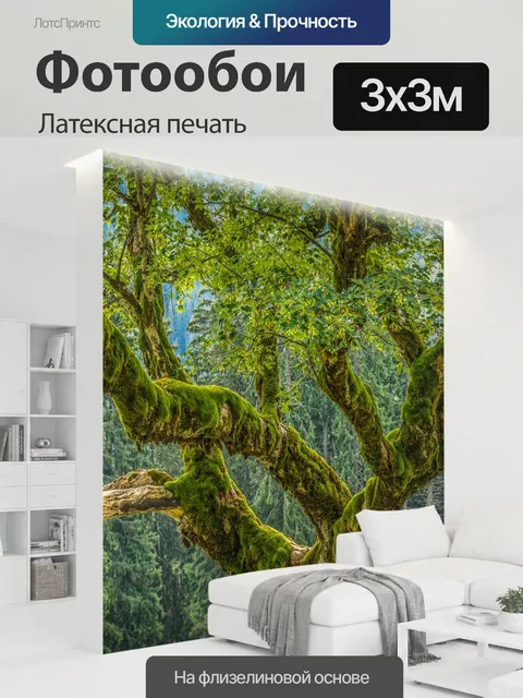 300 × 300 см · Латексная печать