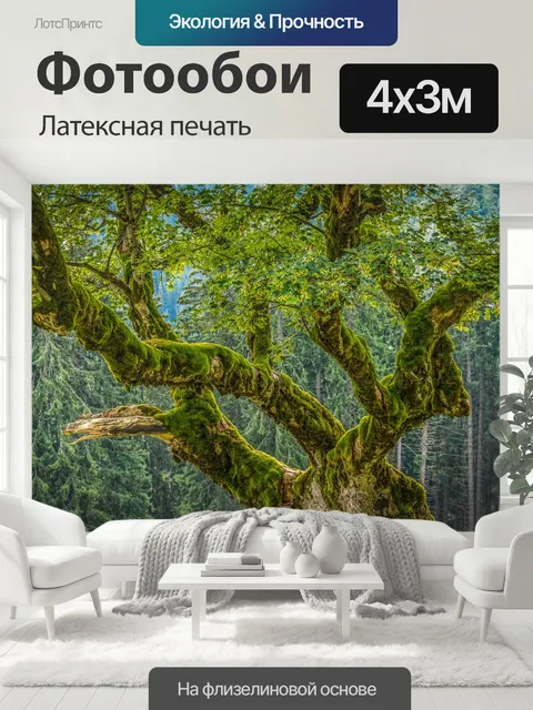 400 × 300 см · Латексная печать