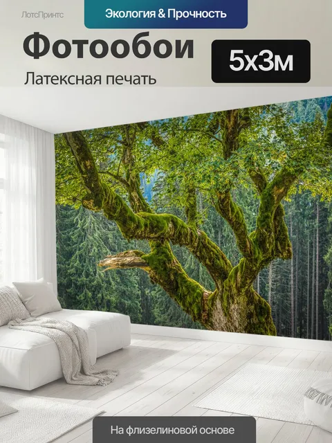 500 × 300 см · Латексная печать