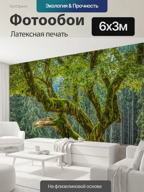 600 × 300 см · Латексная печать