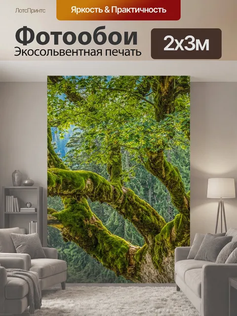 200 × 300 см · Экосольвентная печать