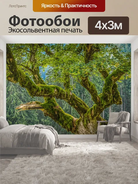 400 × 300 см · Экосольвентная печать
