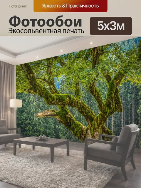500 × 300 см · Экосольвентная печать