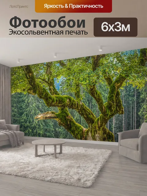 600 × 300 см · Экосольвентная печать
