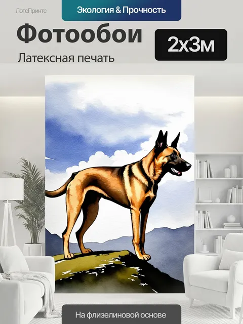 200 × 300 см · Латексная печать