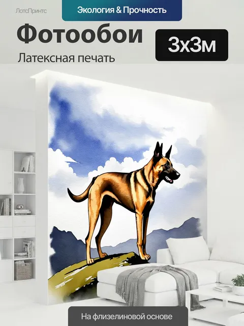 300 × 300 см · Латексная печать