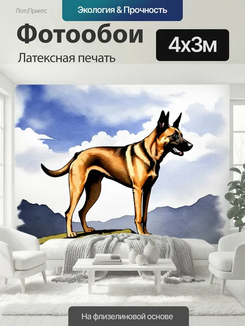 400 × 300 см · Латексная печать