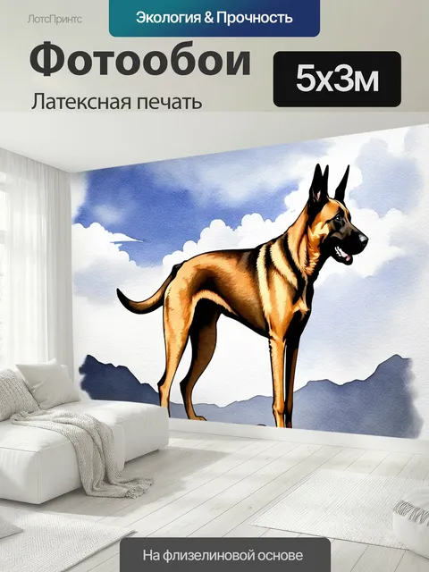 500 × 300 см · Латексная печать