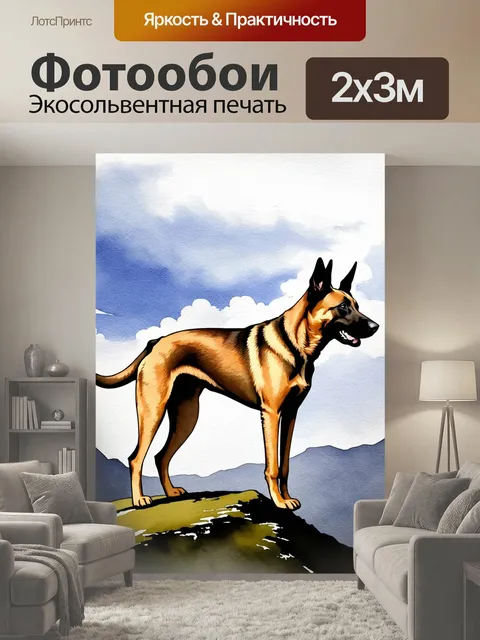 200 × 300 см · Экосольвентная печать