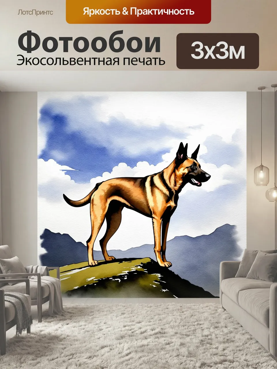 Фотообои Бельгийский малинуа стоит на вершине горы, смотря вдаль на живописный горный пейзаж с облаками и доли…