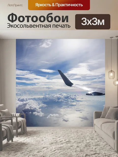 Фотообои Небо, самолет, полет