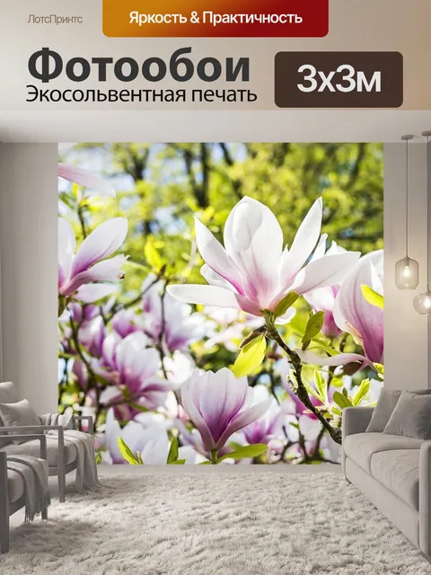 Фотообои Цветок, магнолия, природа