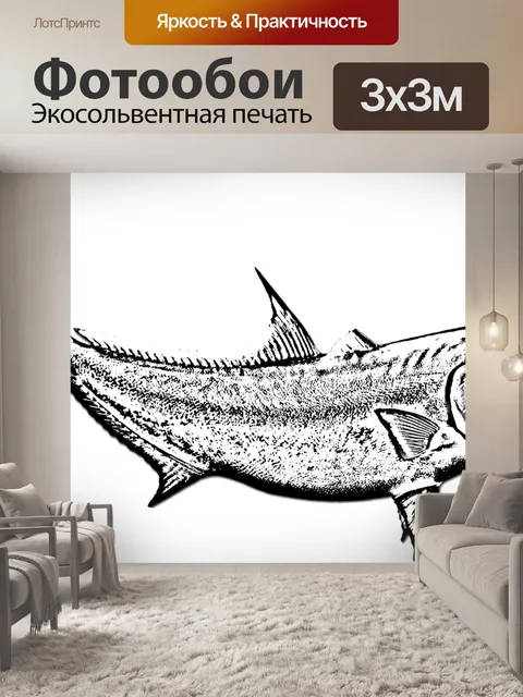 Фотообои Рыбы, амберджек, черный и белый рыба