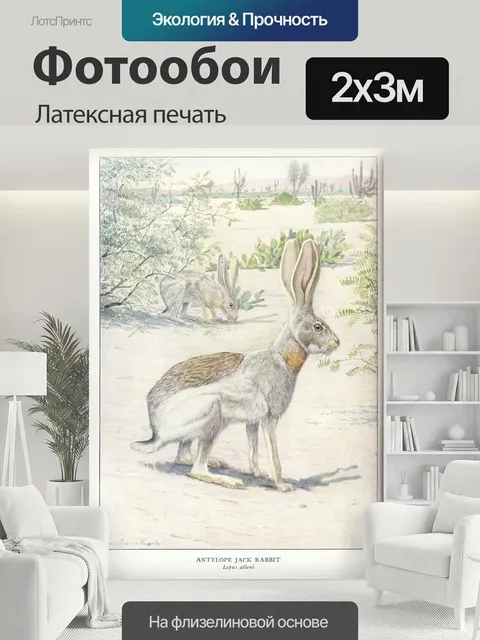 200 × 300 см · Латексная печать