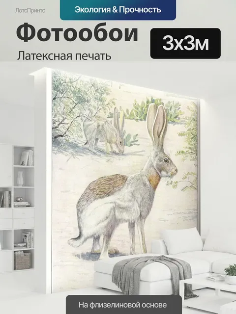 300 × 300 см · Латексная печать