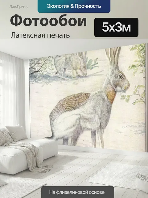 500 × 300 см · Латексная печать