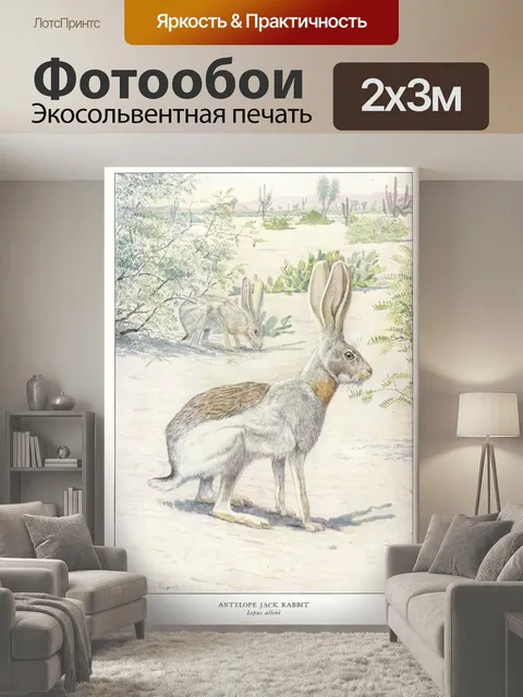 200 × 300 см · Экосольвентная печать