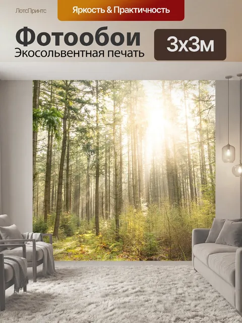 Фотообои Лес, солнце, тень
