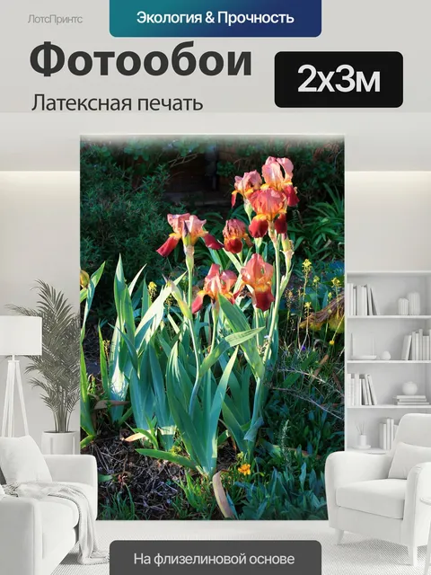 200 × 300 см · Латексная печать