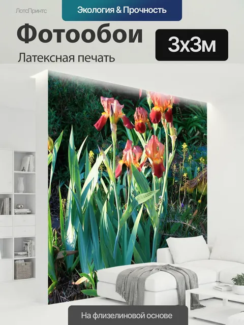 300 × 300 см · Латексная печать