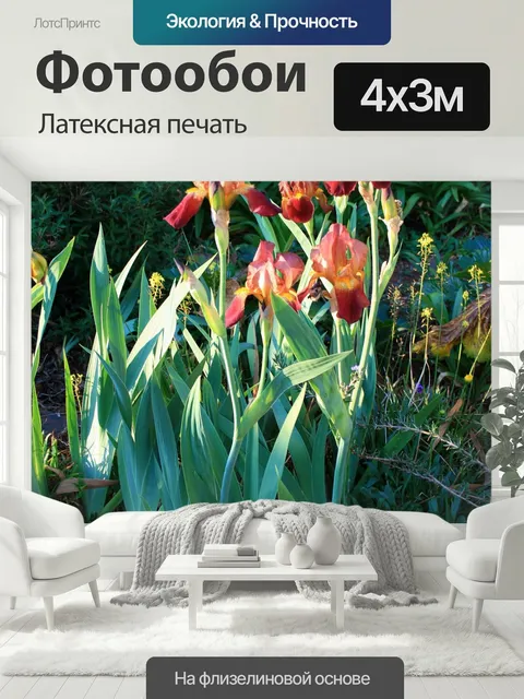 400 × 300 см · Латексная печать
