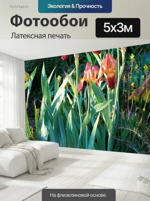 500 × 300 см · Латексная печать