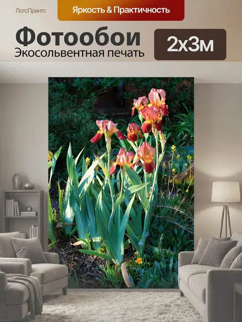 200 × 300 см · Экосольвентная печать