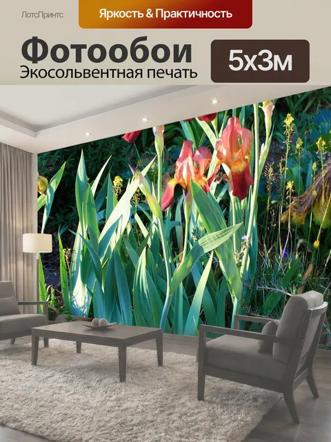 500 × 300 см · Экосольвентная печать