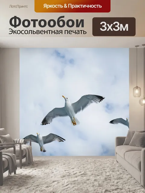 Фотообои Птицы, чайка, чайки