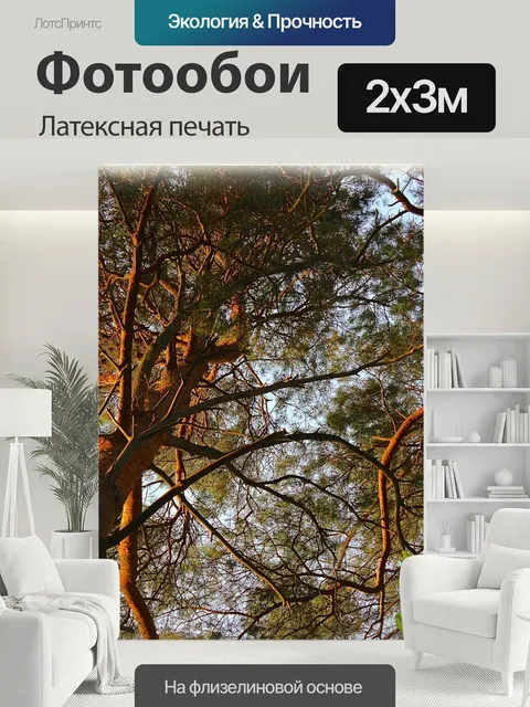 200 × 300 см · Латексная печать