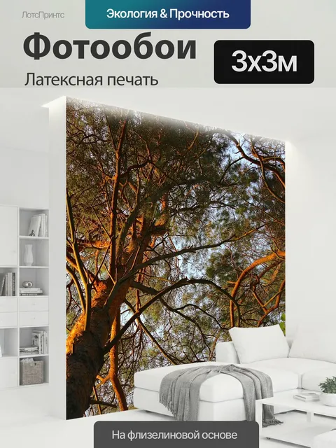300 × 300 см · Латексная печать