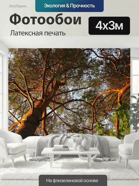 400 × 300 см · Латексная печать
