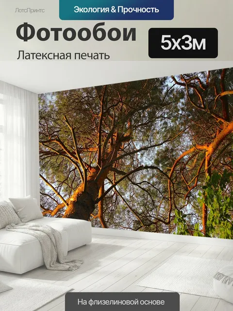 500 × 300 см · Латексная печать