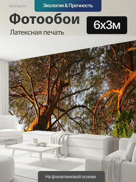 600 × 300 см · Латексная печать