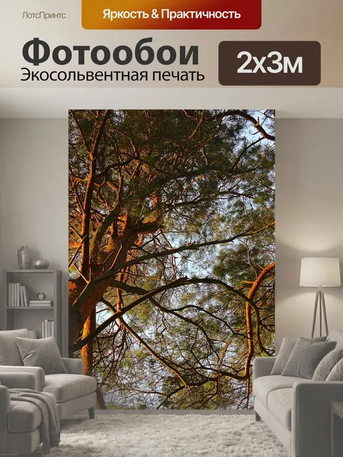 200 × 300 см · Экосольвентная печать