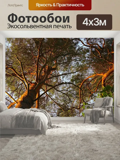400 × 300 см · Экосольвентная печать