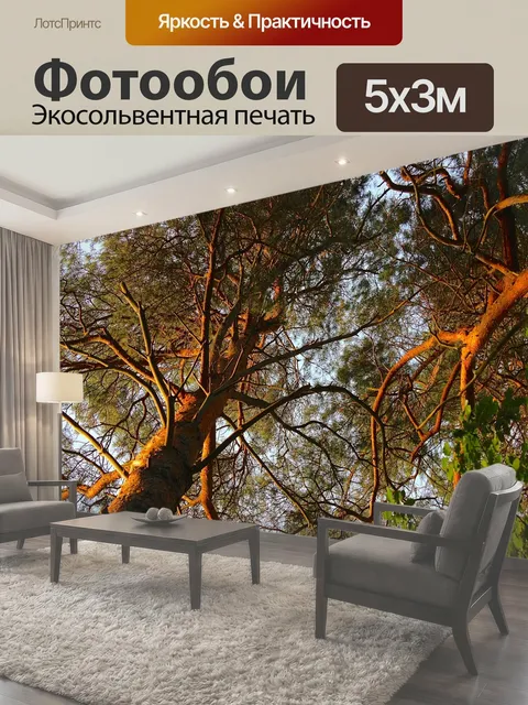 500 × 300 см · Экосольвентная печать