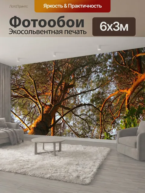 600 × 300 см · Экосольвентная печать