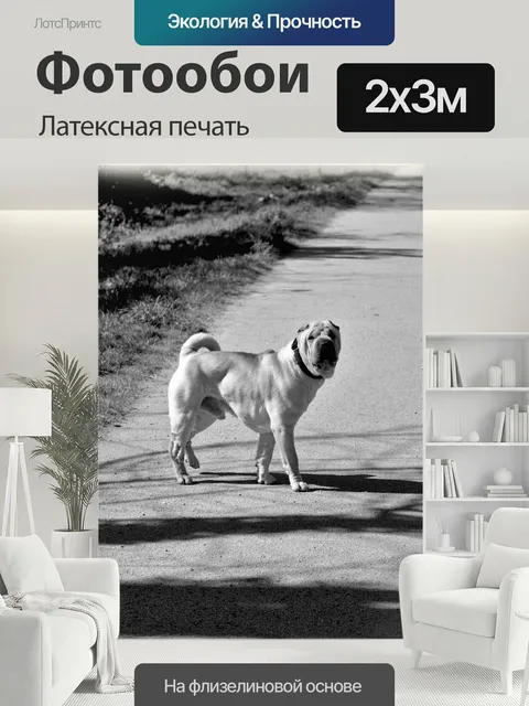 200 × 300 см · Латексная печать