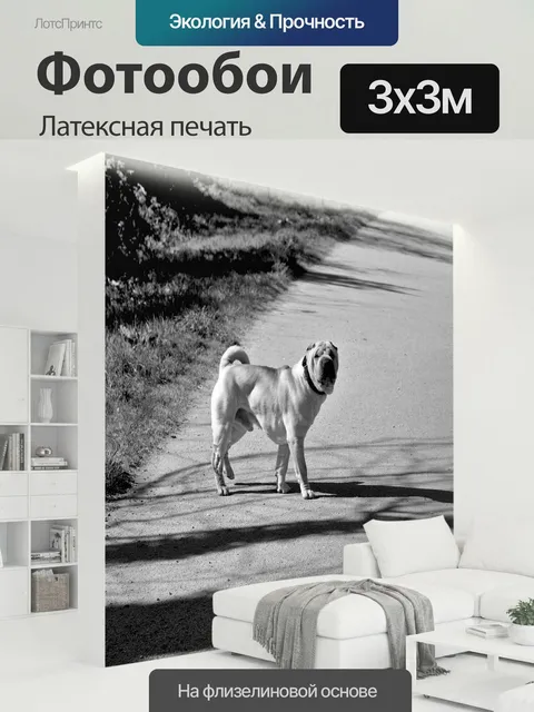 300 × 300 см · Латексная печать