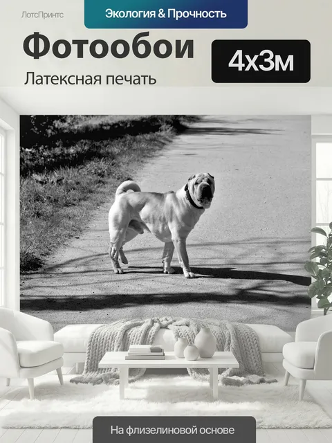 400 × 300 см · Латексная печать