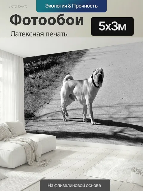 500 × 300 см · Латексная печать