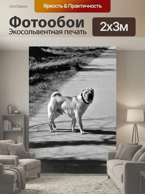 200 × 300 см · Экосольвентная печать