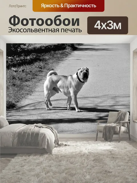 400 × 300 см · Экосольвентная печать