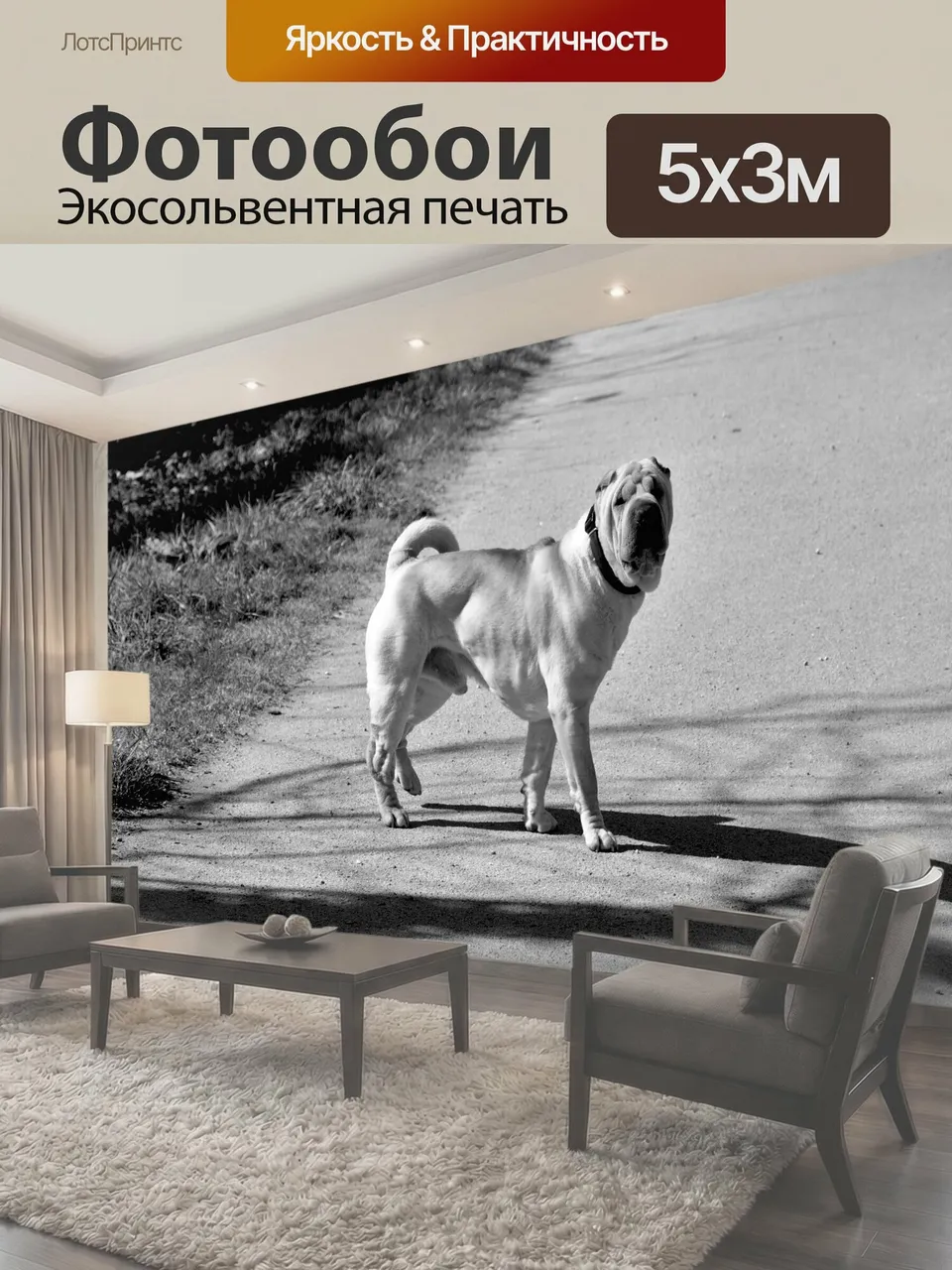Фотообои Собака собаки Шарпей Мужская
