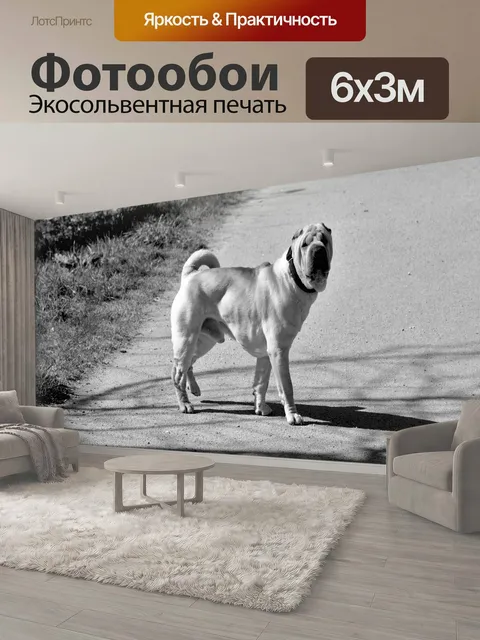 600 × 300 см · Экосольвентная печать