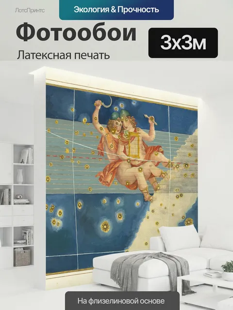 300 × 300 см · Латексная печать