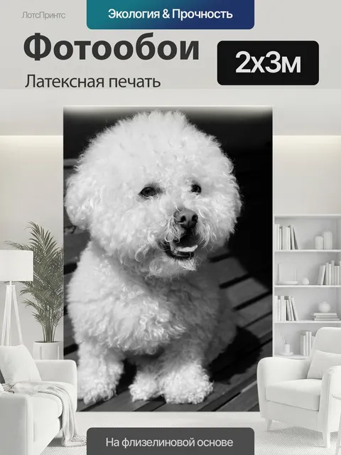 200 × 300 см · Латексная печать